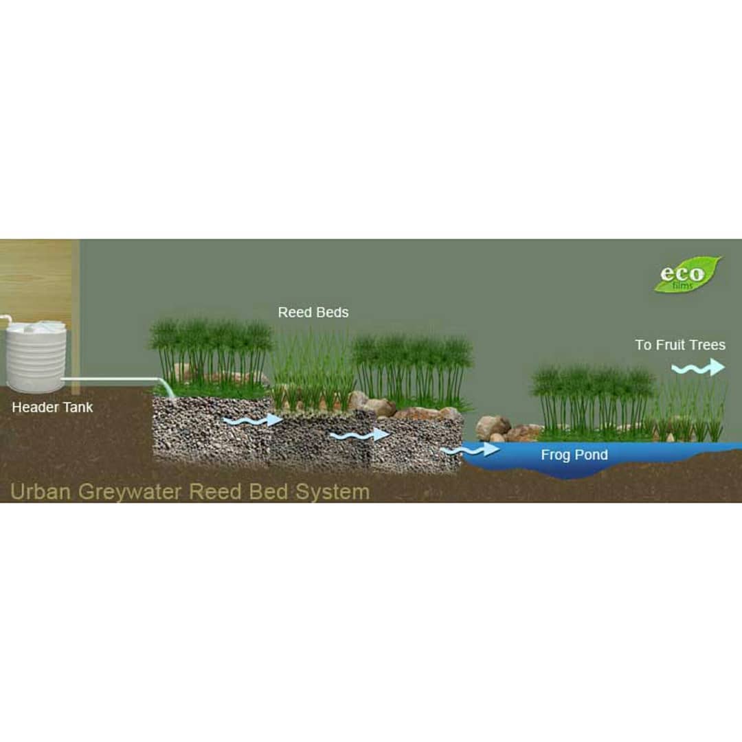 Metode Pengolahan Limbah Air Kotor/Grey Water Management – Aquaculture ...