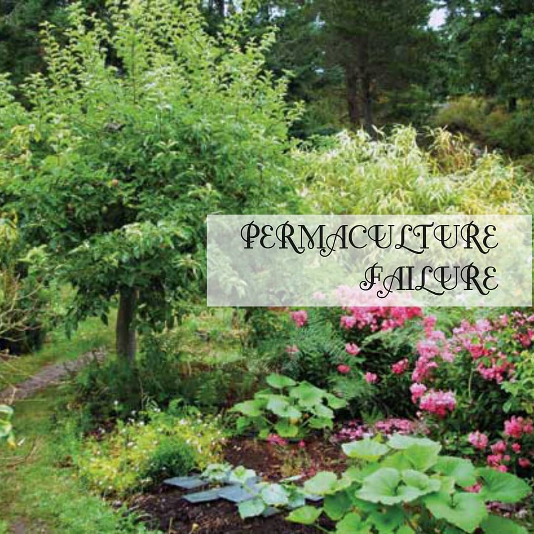 Permaculture Yang Telah Anda Buat Atau Berencana Anda Buat Pasti Gagal ...