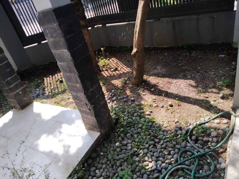 Permaculture Approach 4 – Weeds Management. Memilih Jenis Mulsa Yang Cocok
