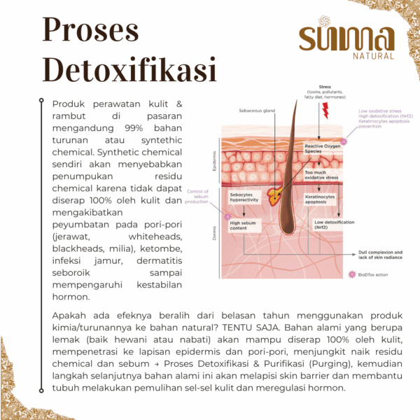 Suma Natural Multipurpose Soap - Sabun Alami & Multifungsi | Sabun Jerawat Punggung, Eczema, Eksim, Psoriasis & Sensitif, No SLS/SLES, No Detergent, No Paraben, No Triclosan, No Synthetic, No Foaming Agents. Body Wash Tubuh Gatal Mandi Berminyak Berjerawat - Image 7