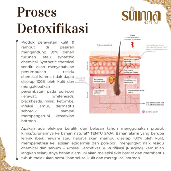 Suma Natural Remineralizing Toothpaste | Pasta Gigi Alami, Gigi Ngilu & Bau Mulut | Flouride Free - Image 8